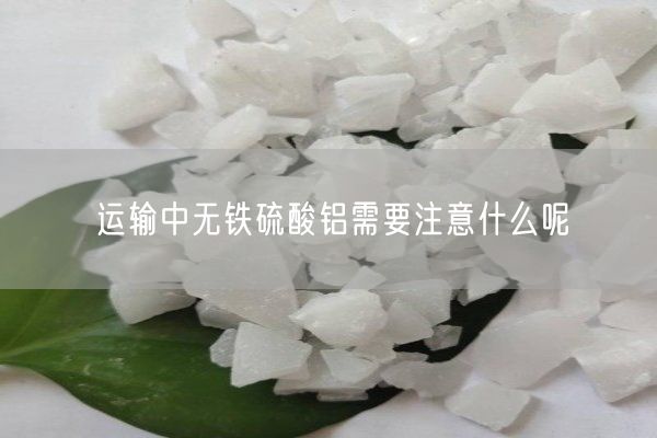 運輸中無鐵硫酸鋁需要注意什么呢(圖3)