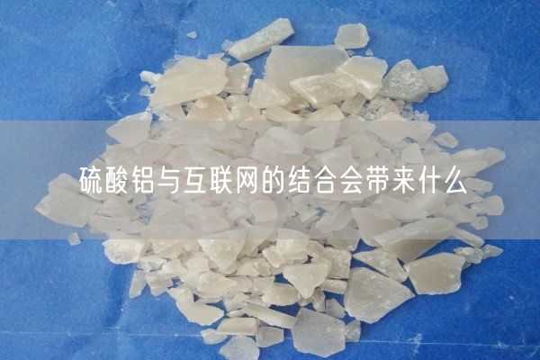 硫酸鋁與互聯(lián)網(wǎng)的結(jié)合會帶來什么(圖2)
