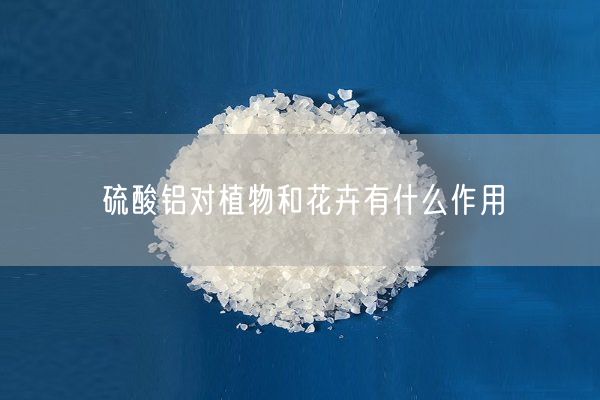 硫酸鋁對(duì)植物和花卉有什么作用(圖1)
