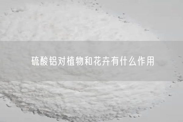 硫酸鋁對(duì)植物和花卉有什么作用(圖6)
