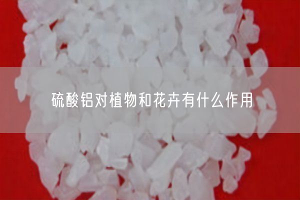 硫酸鋁對(duì)植物和花卉有什么作用(圖4)