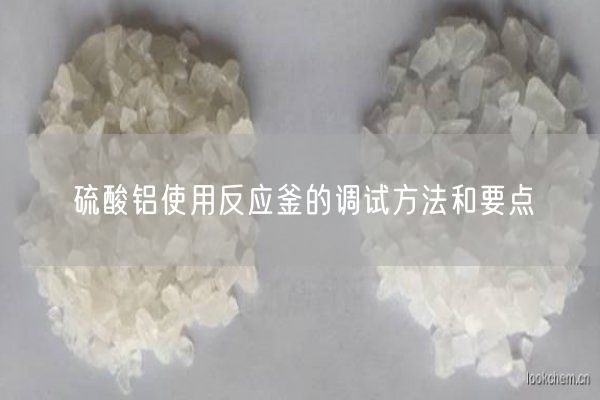 硫酸鋁使用反應(yīng)釜的調(diào)試方法和要點(diǎn)(圖2)