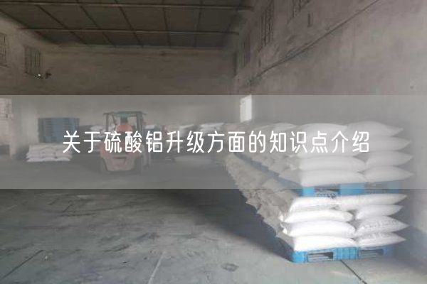 關(guān)于硫酸鋁升級(jí)方面的知識(shí)點(diǎn)介紹(圖2)