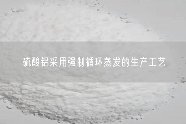 硫酸鋁采用強(qiáng)制循環(huán)蒸發(fā)的生產(chǎn)工藝(圖5)