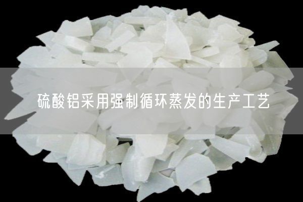 硫酸鋁采用強(qiáng)制循環(huán)蒸發(fā)的生產(chǎn)工藝(圖3)