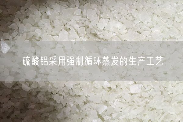硫酸鋁采用強(qiáng)制循環(huán)蒸發(fā)的生產(chǎn)工藝(圖1)