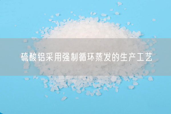 硫酸鋁采用強(qiáng)制循環(huán)蒸發(fā)的生產(chǎn)工藝(圖2)