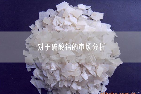 對(duì)于硫酸鋁的市場(chǎng)分析(圖6)
