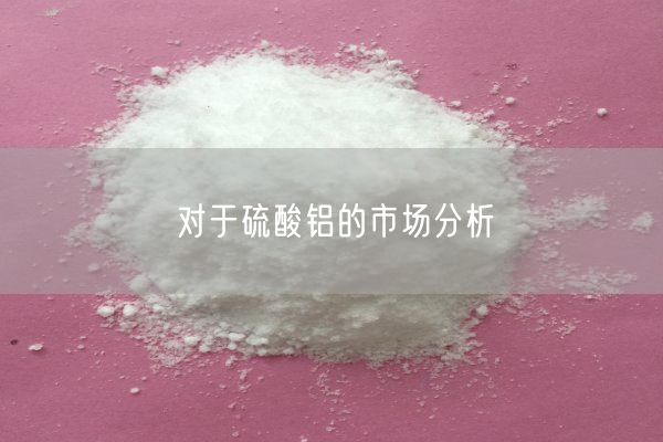對(duì)于硫酸鋁的市場(chǎng)分析(圖8)
