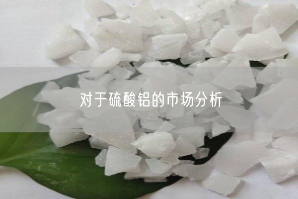 對(duì)于硫酸鋁的市場(chǎng)分析(圖5)