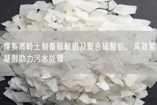 煤系高嶺土制備硫酸鋁及聚合硫酸鋁，高效絮凝劑助力污水處理(圖5)