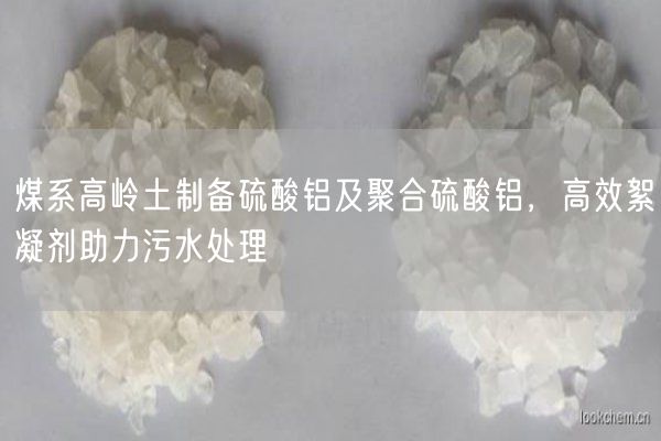 煤系高嶺土制備硫酸鋁及聚合硫酸鋁，高效絮凝劑助力污水處理(圖7)