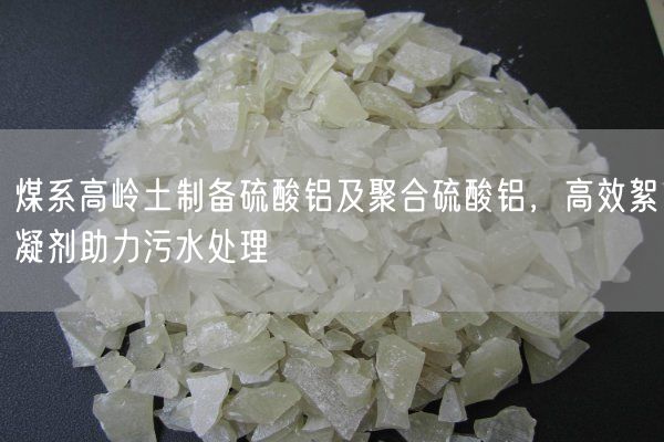 煤系高嶺土制備硫酸鋁及聚合硫酸鋁，高效絮凝劑助力污水處理(圖2)