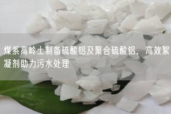 煤系高嶺土制備硫酸鋁及聚合硫酸鋁，高效絮凝劑助力污水處理(圖4)