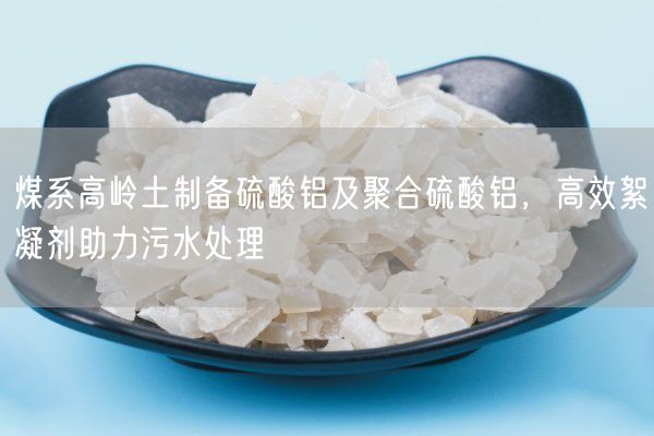 煤系高嶺土制備硫酸鋁及聚合硫酸鋁，高效絮凝劑助力污水處理(圖3)